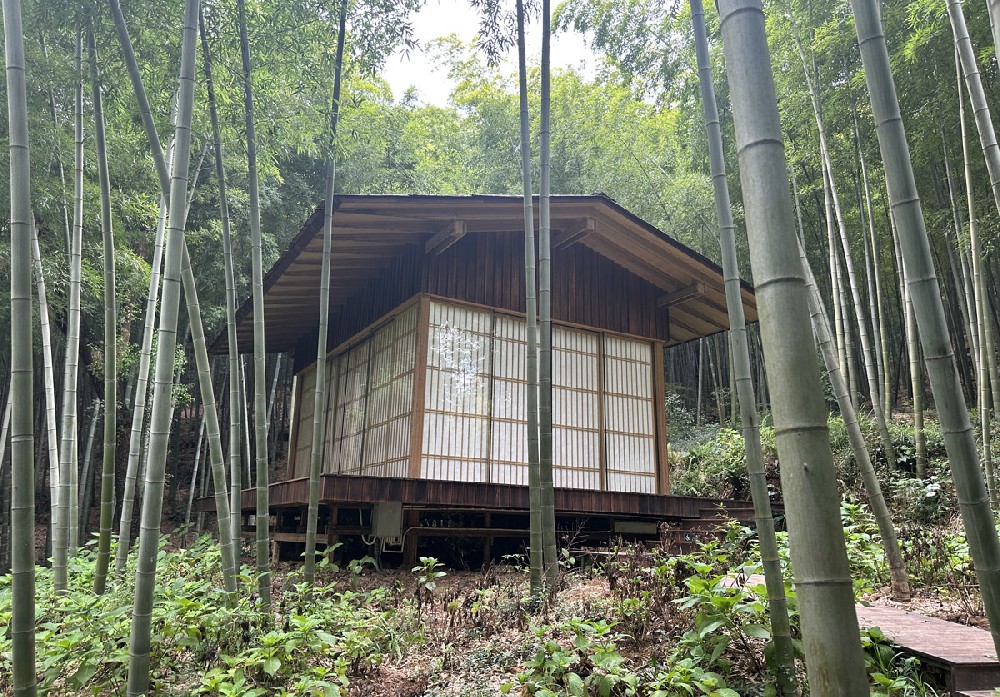 5A阳光屋系列—— 湘湖象山木屋