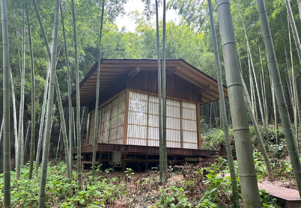 5A Sunny House - Xianghu